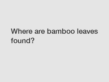 Where are bamboo leaves found?