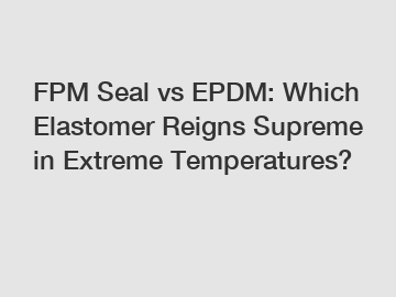 FPM Seal vs EPDM: Which Elastomer Reigns Supreme in Extreme Temperatures?