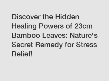 Discover the Hidden Healing Powers of 23cm Bamboo Leaves: Nature's Secret Remedy for Stress Relief!