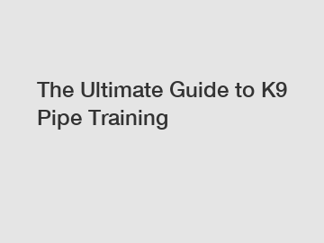 The Ultimate Guide to K9 Pipe Training