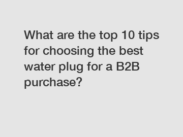 What are the top 10 tips for choosing the best water plug for a B2B purchase?