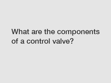 What are the components of a control valve?