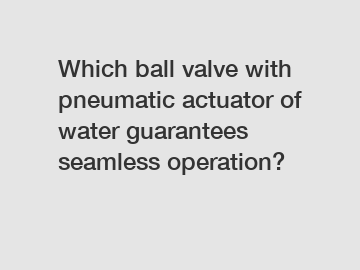 Which ball valve with pneumatic actuator of water guarantees seamless operation?