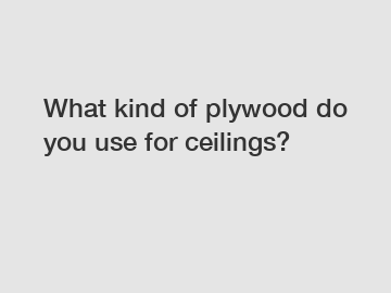 What kind of plywood do you use for ceilings?