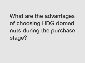 What are the advantages of choosing HDG domed nuts during the purchase stage?