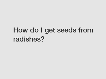 How do I get seeds from radishes?