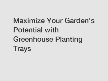 Maximize Your Garden's Potential with Greenhouse Planting Trays
