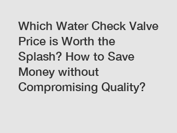 Which Water Check Valve Price is Worth the Splash? How to Save Money without Compromising Quality?