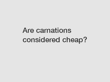 Are carnations considered cheap?