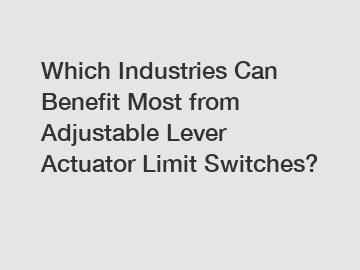 Which Industries Can Benefit Most from Adjustable Lever Actuator Limit Switches?