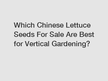 Which Chinese Lettuce Seeds For Sale Are Best for Vertical Gardening?