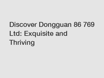 Discover Dongguan 86 769 Ltd: Exquisite and Thriving