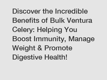 Discover the Incredible Benefits of Bulk Ventura Celery: Helping You Boost Immunity, Manage Weight & Promote Digestive Health!