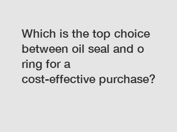 Which is the top choice between oil seal and o ring for a cost-effective purchase?