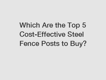 Which Are the Top 5 Cost-Effective Steel Fence Posts to Buy?