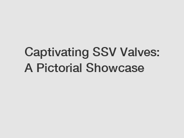Captivating SSV Valves: A Pictorial Showcase