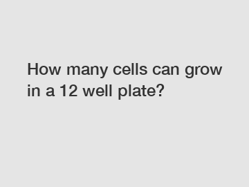 How many cells can grow in a 12 well plate?