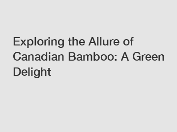 Exploring the Allure of Canadian Bamboo: A Green Delight