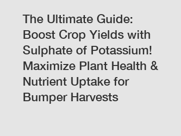 The Ultimate Guide: Boost Crop Yields with Sulphate of Potassium! Maximize Plant Health & Nutrient Uptake for Bumper Harvests