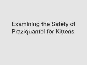 Examining the Safety of Praziquantel for Kittens