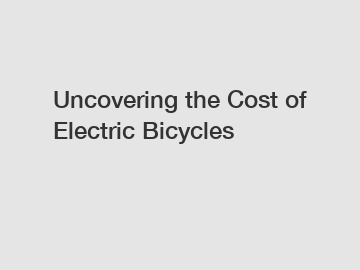 Uncovering the Cost of Electric Bicycles