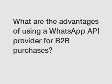 What are the advantages of using a WhatsApp API provider for B2B purchases?