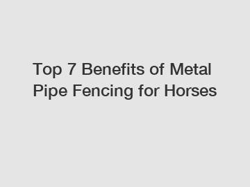 Top 7 Benefits of Metal Pipe Fencing for Horses