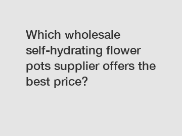 Which wholesale self-hydrating flower pots supplier offers the best price?