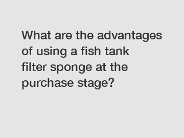 What are the advantages of using a fish tank filter sponge at the purchase stage?