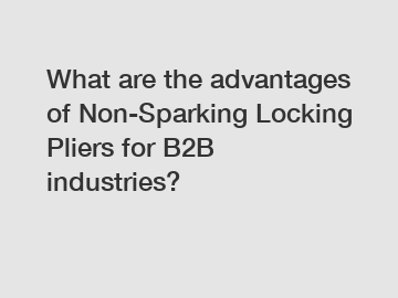 What are the advantages of Non-Sparking Locking Pliers for B2B industries?