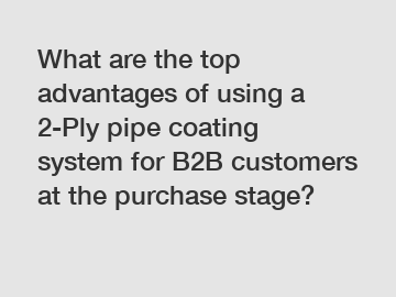 What are the top advantages of using a 2-Ply pipe coating system for B2B customers at the purchase stage?