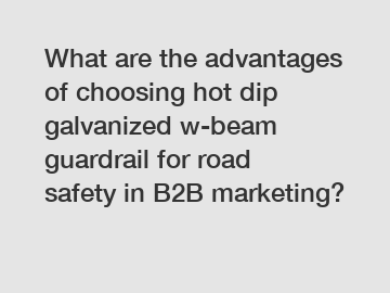 What are the advantages of choosing hot dip galvanized w-beam guardrail for road safety in B2B marketing?