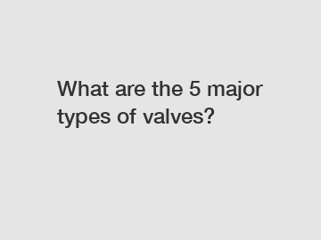 What are the 5 major types of valves?