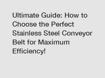 Ultimate Guide: How to Choose the Perfect Stainless Steel Conveyor Belt for Maximum Efficiency!