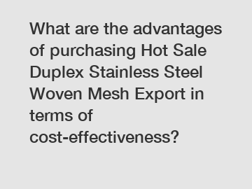 What are the advantages of purchasing Hot Sale Duplex Stainless Steel Woven Mesh Export in terms of cost-effectiveness?