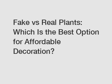 Fake vs Real Plants: Which Is the Best Option for Affordable Decoration?