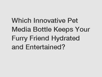 Which Innovative Pet Media Bottle Keeps Your Furry Friend Hydrated and Entertained?