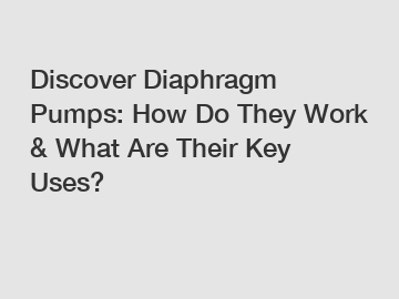 Discover Diaphragm Pumps: How Do They Work & What Are Their Key Uses?
