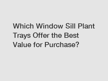 Which Window Sill Plant Trays Offer the Best Value for Purchase?