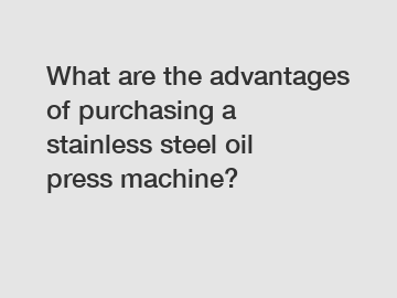 What are the advantages of purchasing a stainless steel oil press machine?