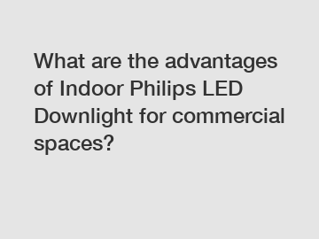 What are the advantages of Indoor Philips LED Downlight for commercial spaces?