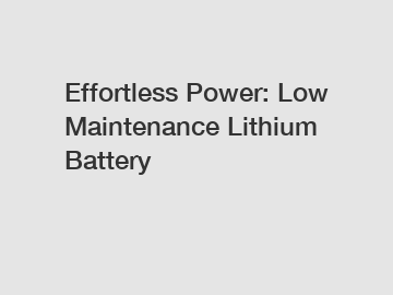 Effortless Power: Low Maintenance Lithium Battery