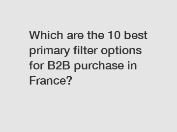 Which are the 10 best primary filter options for B2B purchase in France?