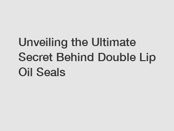 Unveiling the Ultimate Secret Behind Double Lip Oil Seals