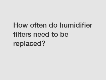 How often do humidifier filters need to be replaced?