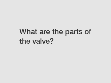 What are the parts of the valve?