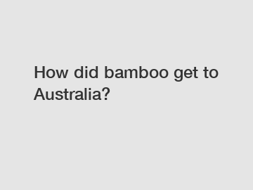 How did bamboo get to Australia?