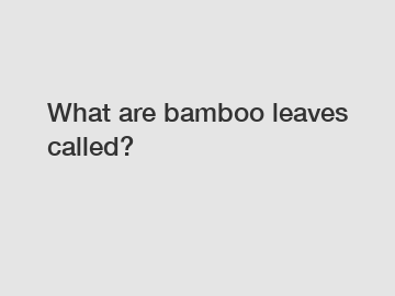 What are bamboo leaves called?