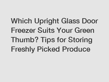 Which Upright Glass Door Freezer Suits Your Green Thumb? Tips for Storing Freshly Picked Produce