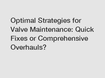 Optimal Strategies for Valve Maintenance: Quick Fixes or Comprehensive Overhauls?